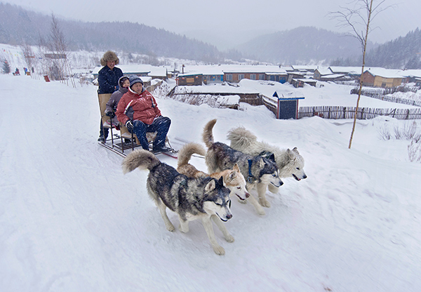 开云体育娱乐app安全-关于狗拉雪橇比赛，激情冬日运动体验的信息
