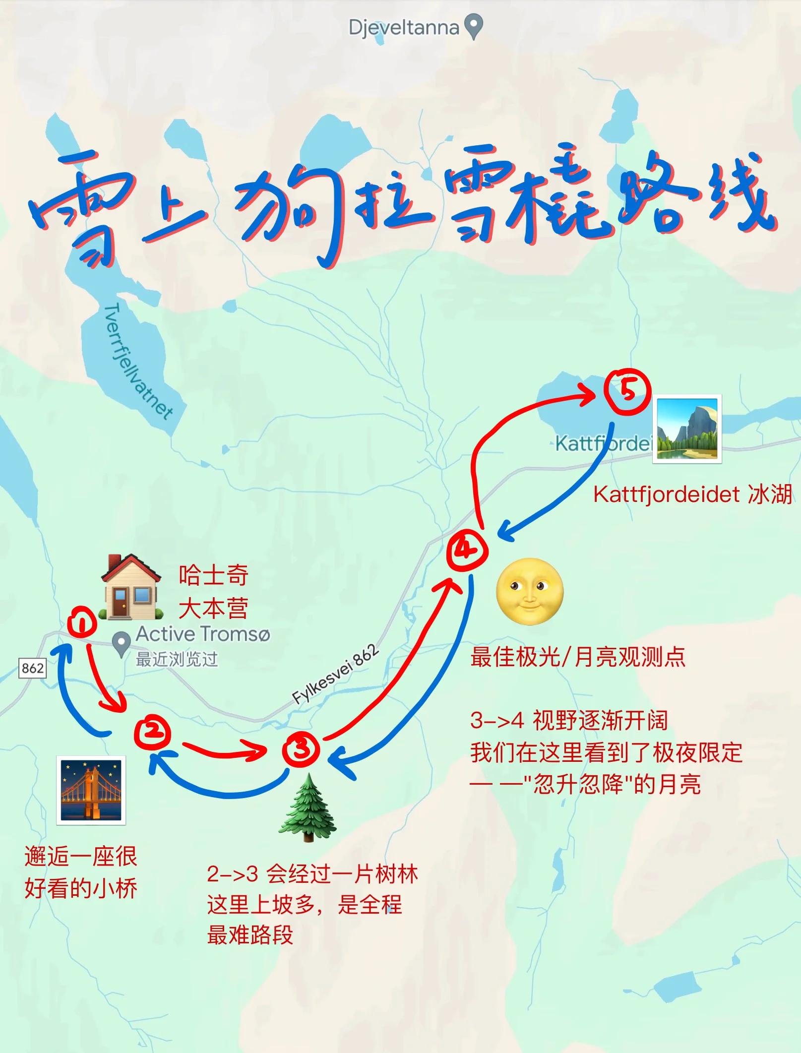 关于狗拉雪橇比赛，激情冬日运动体验的信息