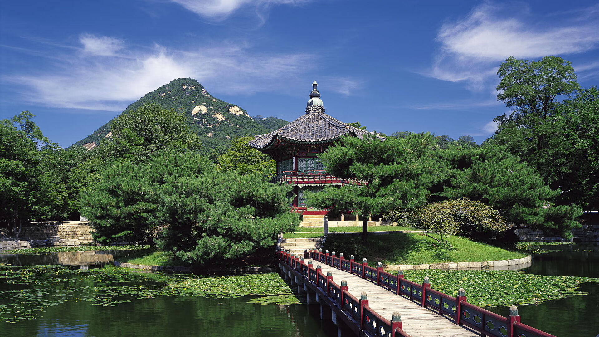 开云体育下载-弗拉门戈年轻球员迅速成长，弗拉门戈伤停有谁_
