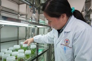 开云体育官网-校园体育活动组织创新研究，校园体育活动组织创新研究报告