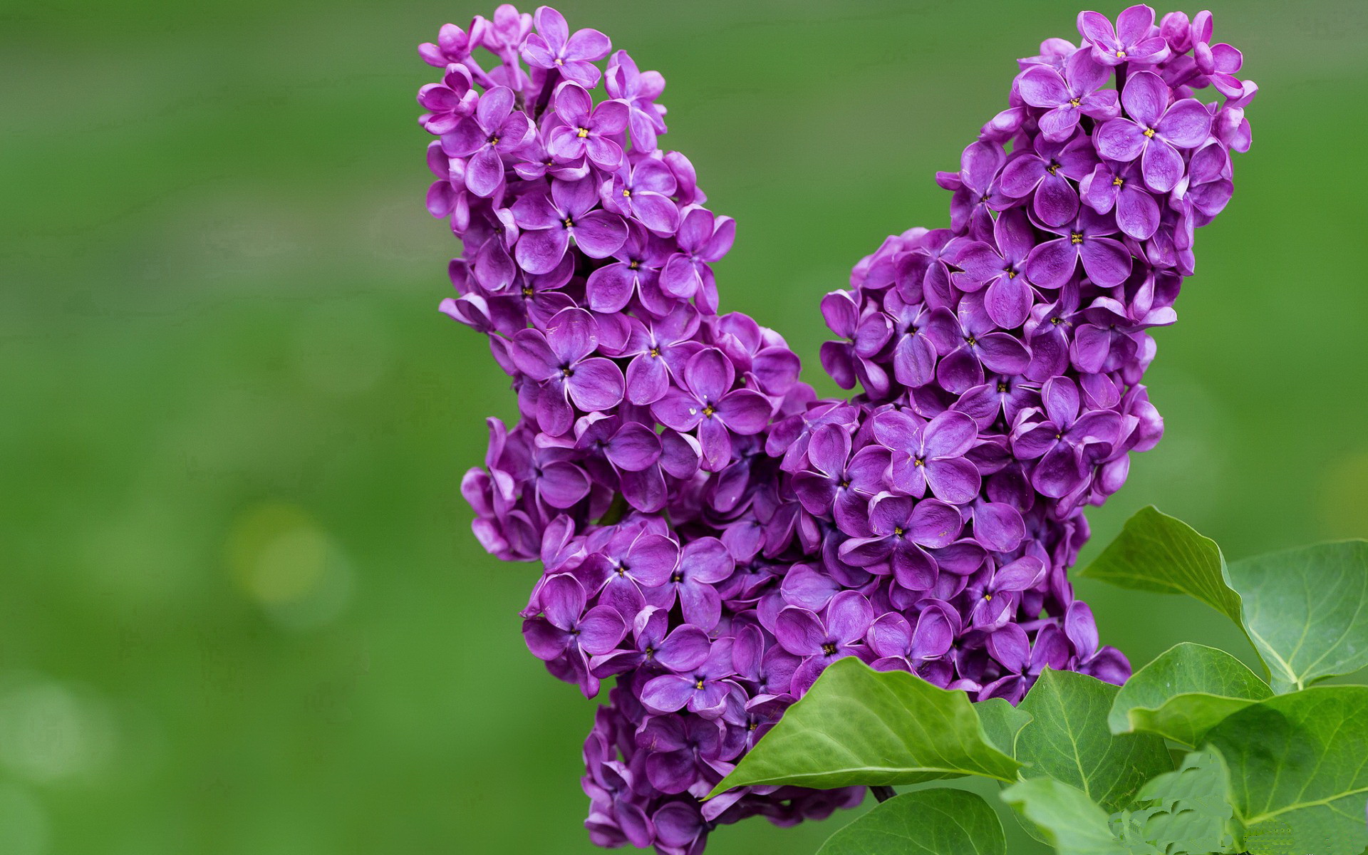 开云体育平台-俱乐部管理层频繁变动不利稳定，俱乐部的管理人叫什么