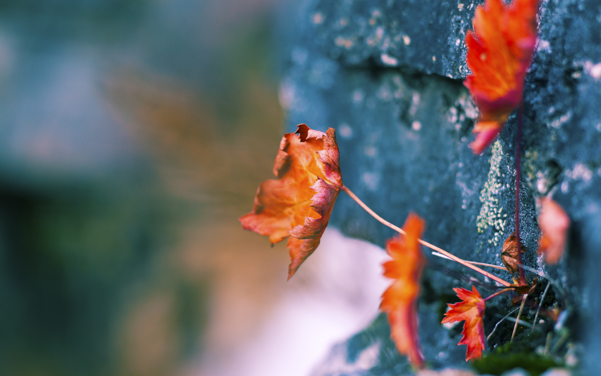 开云-维拉核心球员伤愈复出带来积极变化，维拉实力