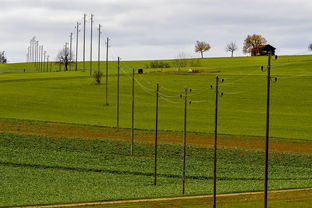 开云体育官网-球员体能负荷评估工具上线助力教练科学制定训练计划，体育负荷强度