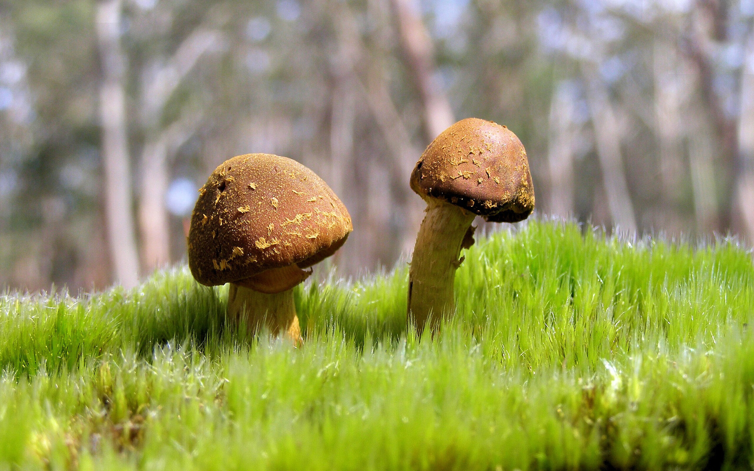 美将温斯坦决赛冲刺力道十足，温斯坦利