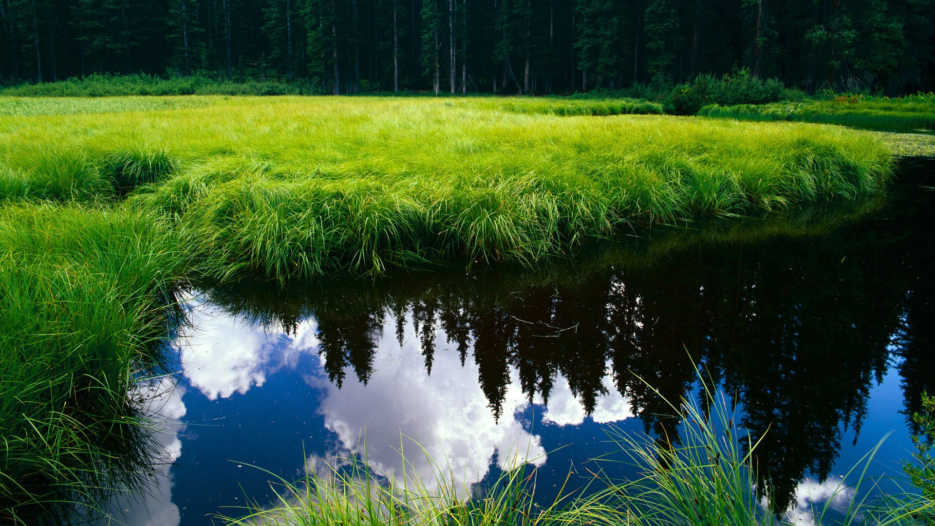 谷爱凌化身代言人走入时尚圈,谷爱凌化身代言人走入时尚圈是哪一集