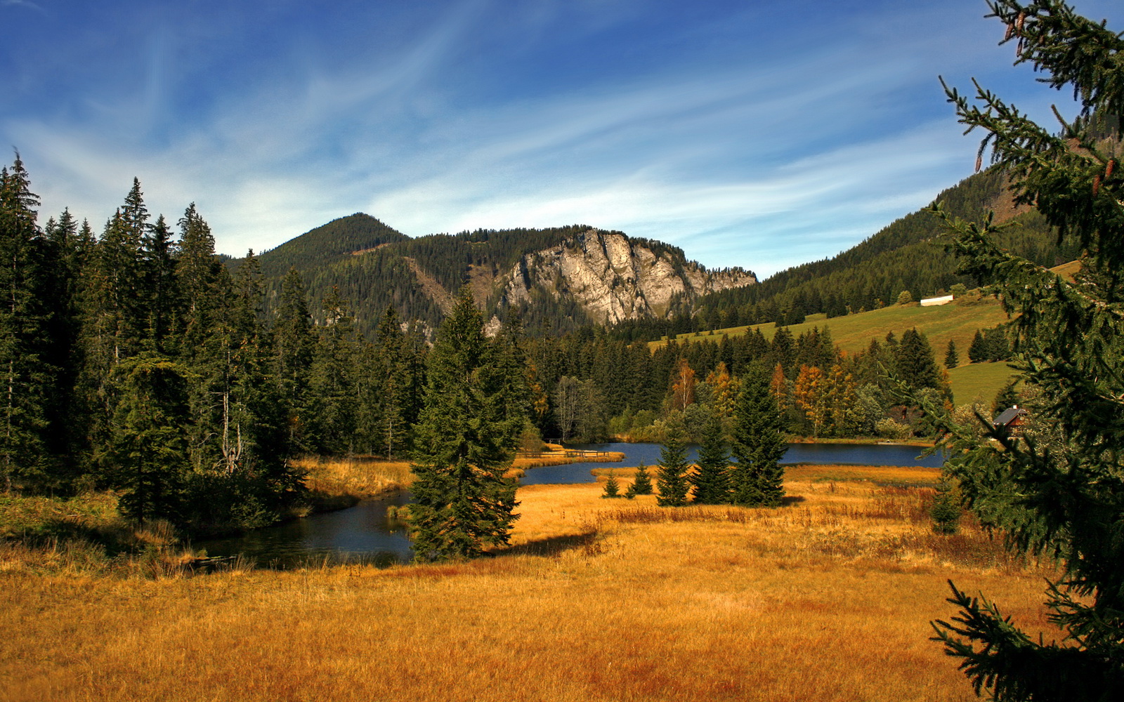 开云体育下载网址-跳水稳定输出比利时锁定奖牌，跳水比分怎么看