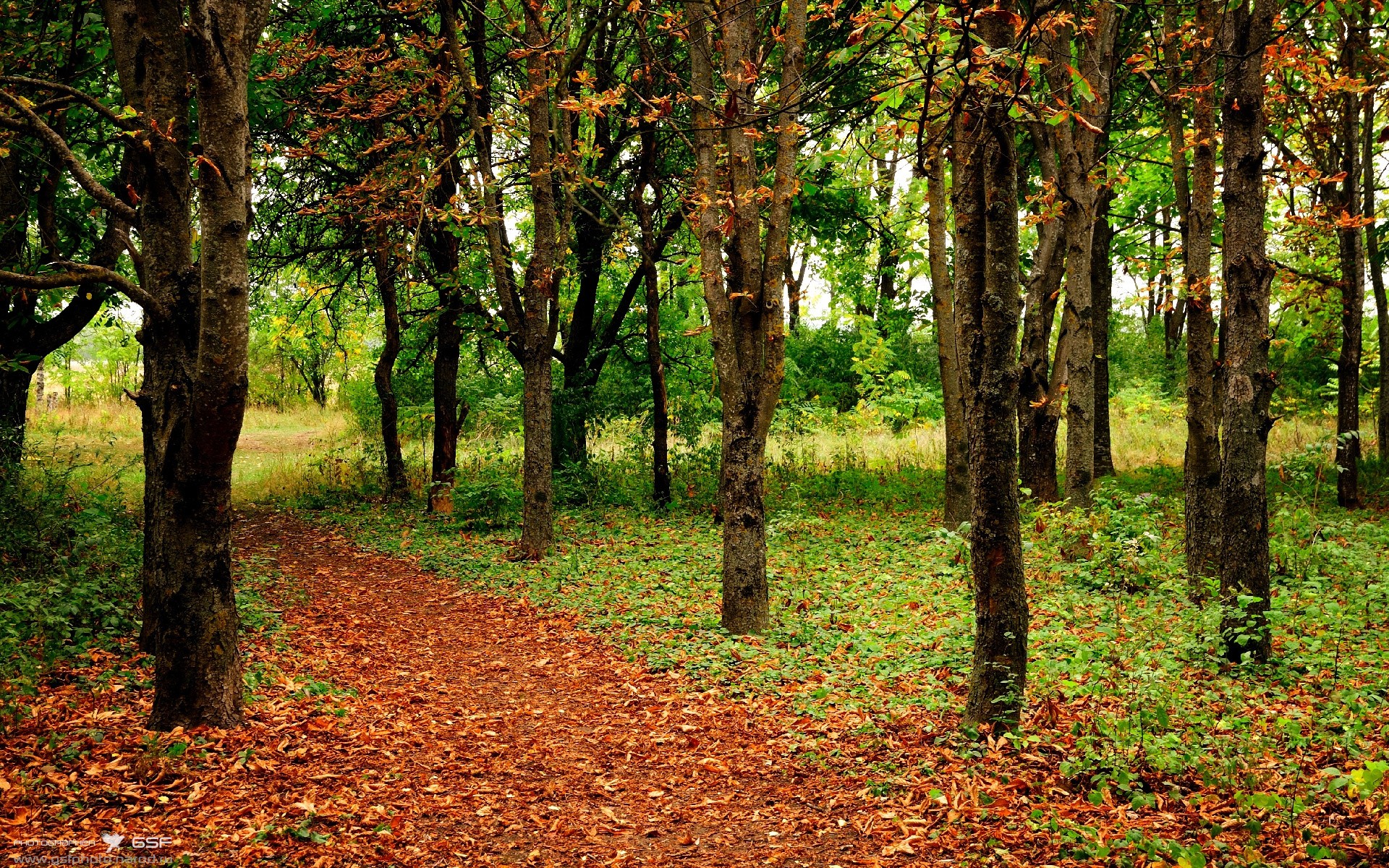 非洲国家联赛中，尼日利亚队以强大的攻防表现，赢得关注，2020非洲杯尼日利亚
